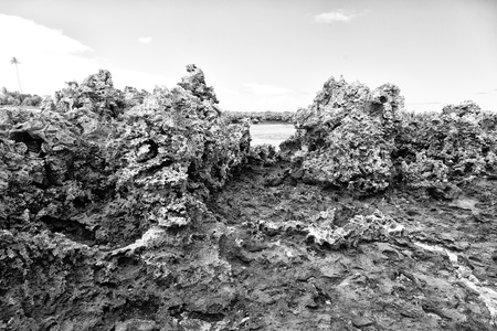 in polynesia the rocks of the coastline like paradise concept and relaxの写真素材