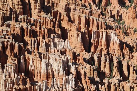 in USA  bryce   national  park the beauty of amazing nature tourist destination