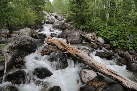 in USA  grand teton  national  park the beauty of amazing nature tourist destination