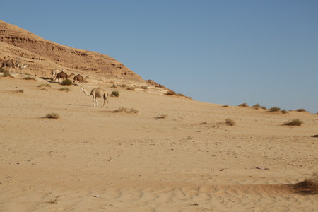 old history in the antique kingdom of saudi arabiaの写真素材