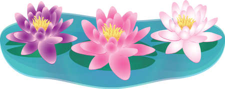 Water lilies in waterのイラスト素材
