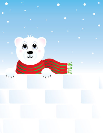 Polar Bear peaking over snow card backgrouundのイラスト素材
