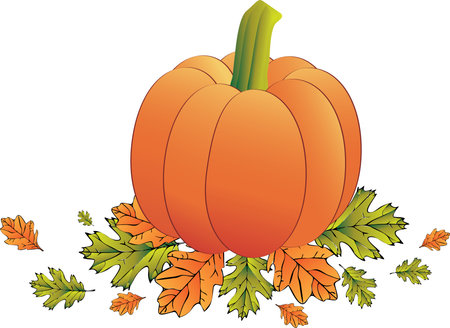 Fall leaves and pumpkin on groundのイラスト素材