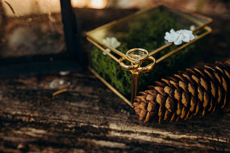 Rings in nature with some decoration