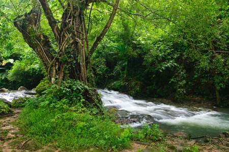 Sarika Waterfall in Nakhon Nayok, Thailandの写真素材
