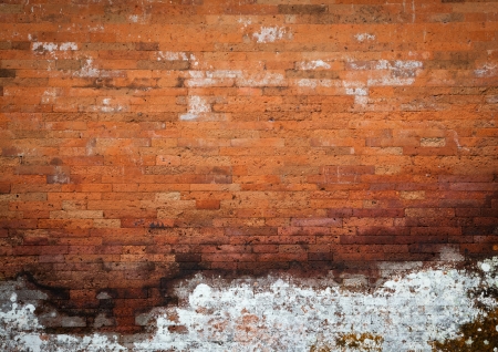 grunge brick wall textureの写真素材