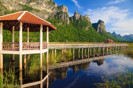 Wooden Bridge in lotus lake at khao sam roi yod national park, thailandの写真素材