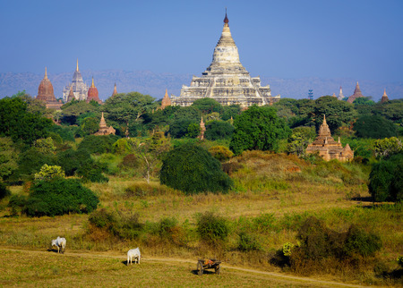 The Temples of bagan at sunrise, Bagan Pagan , Myanmarの写真素材