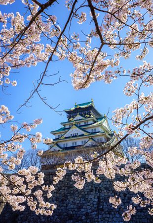 Osaka castle in cherry blossom season, Osaka, Japanのeditorial素材