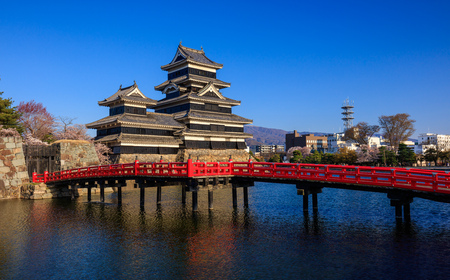 Matsumoto castle in cherry blossom season, Nagano, Japanのeditorial素材