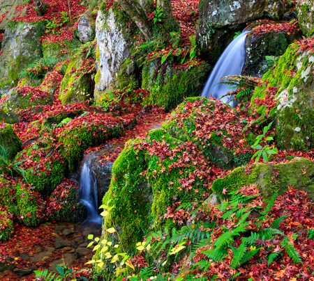 A small waterfall in autumn, Kyoto, Japanの写真素材