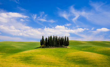 Rolling hills, green fields and cypresses trees in Tuscany, Italyの写真素材