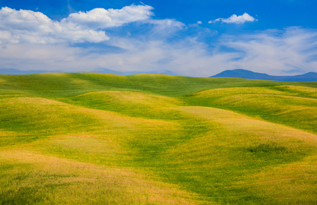 Rolling hills, green fields in Tuscany, Italyの写真素材