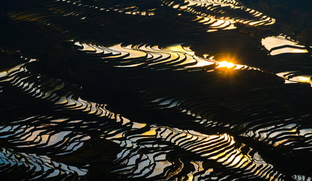 Yuanyang rice terrace at sunset, Yunnan, Chinaの写真素材