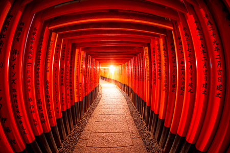 Torii gates in Fushimi Inari Shrine, Kyoto, Japanのeditorial素材