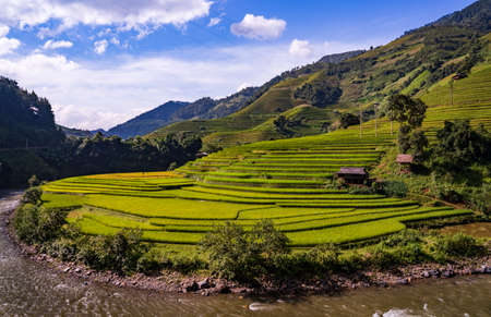 Terraced rice fields, Mu Cang Chai, Yen Bai, Vietnamの写真素材