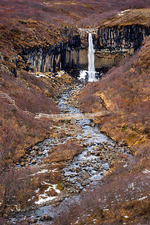 Svartifoss Waterfall, famous black basalt columns, Skaftafell National Park, Iceland, Europeの写真素材