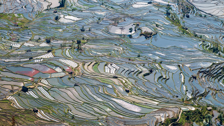 Aerial view of Yuanyang rice terrace at sunrise, Yunnan province, Chinaの写真素材