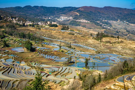 Aerial drone view of Yuanyang rice terrace at sunrise, Yunnan province, Chinaの写真素材
