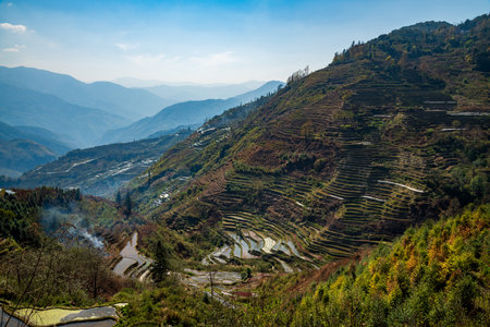 Aerial view of Yuanyang rice terrace at sunrise, Yunnan province, Chinaの写真素材