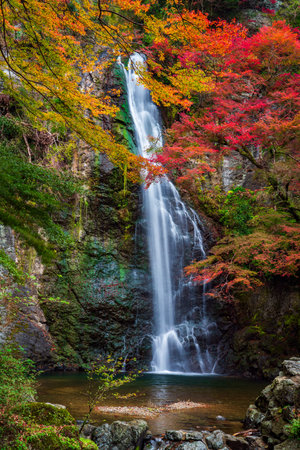 Minoo Waterfall with red bridge in autumn, Minoo Park Osaka, Japanの写真素材