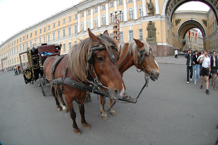 Saint-Petersburg, Russia - May 13, 2006: Crew with horses near Arch of General Staff Building and Hermitageのeditorial素材