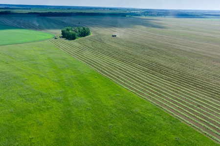 Aerial view of agricultural fields with working harvesterの写真素材