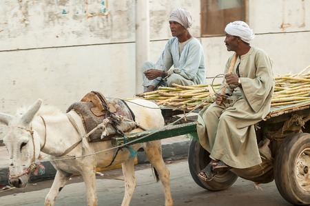 Hurghada, Egypt - November 7, 2006: Egyptian men ride his donkey chariot on streetのeditorial素材