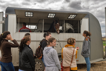 Tyumen, Russia - June 25, 2016: The 5th open championship of Russia on a plowed land. People load horses into van for transportationのeditorial素材