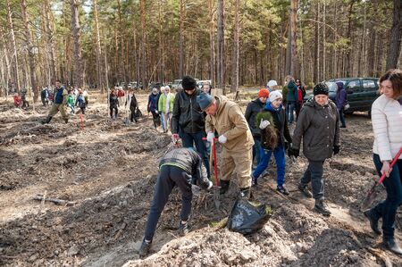 Taraskul, Russia - May 24, 2018: Action of restoration of the wood. People put saplings on the fringe of the forestのeditorial素材