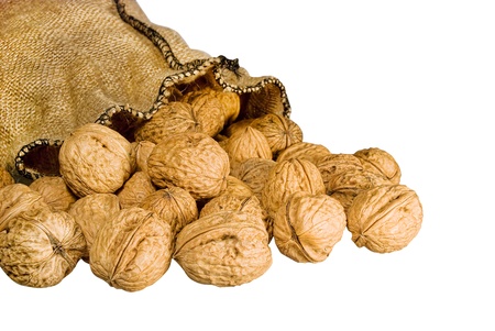 many walnuts falling out burlap sack isolated on whiteの写真素材