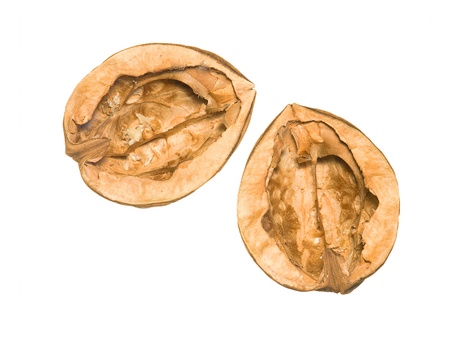two halves of empty nutshell isolated on whiteの写真素材
