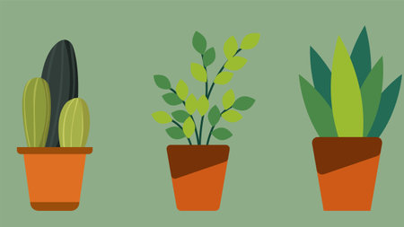 Interior plants group decoration element designのイラスト素材