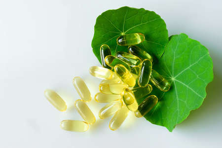 Medicines and treatment, healthcare. Fish oil capsules on the green leaves