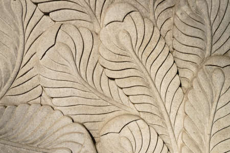 Building facade with leaves textureの写真素材