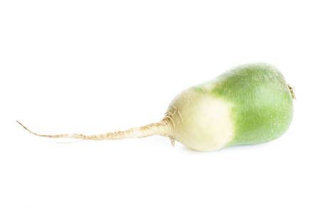 Green radish isolated on white. High quality photoの写真素材