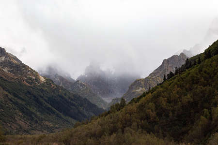 Snow capped mountain range in the clouds. Dense forest on the mountain slopes Caucasus, Russia. High...