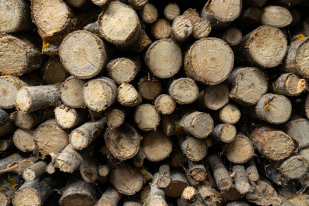 firewood stacked in a woodpile. Aged timber. Pattern. High quality photo