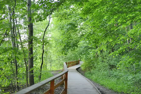 Wooden pathway in spring park, Moscow Russiaの写真素材