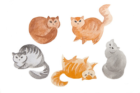 Cute watercolor cats  isolated on a white backgroundの写真素材