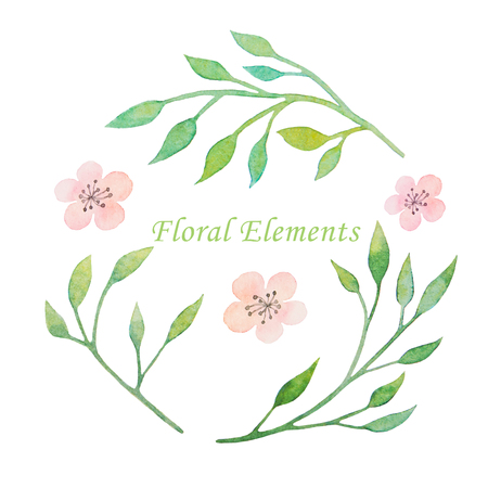 Watercolor floral elements isolated on white backgroundの写真素材