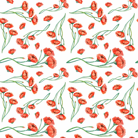 Watercolor vintage red poppies seamless pattern on a white backgroundの写真素材