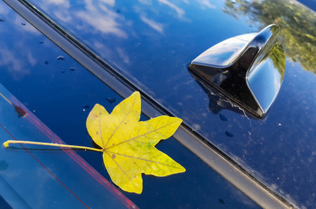 Bucharest, Romania - October 11, 2019: An yellow autumn leaf sits on the hood of a blue BMW car is seen in Bucharest. This image is for editorial use only.のeditorial素材