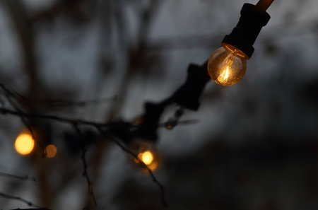 Bucharest, Romania - February 07, 2019: A halogen incandescent bulb illuminates in the evening a street in downtown Bucharest.のeditorial素材