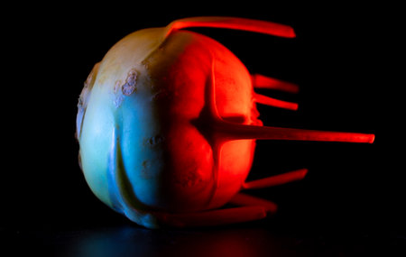 Bucharest, Romania - July 03, 2020: A blue and red illuminated kohlrabi that looks like a satellite.のeditorial素材