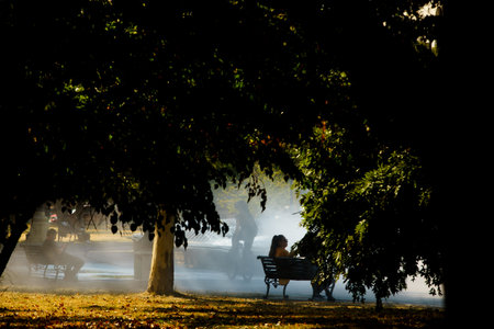 Bucharest, Romania - August 11, 2022: People walk under the trees near the water fountains in the park on a very hot day This image is for editorial use only.のeditorial素材