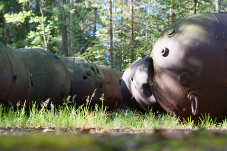 Rusty naval mines lying in the forestの写真素材
