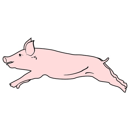 Pigのイラスト素材