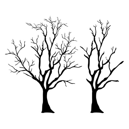 vector tree with branches のイラスト素材