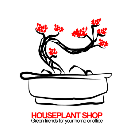 Hand drawn vector illustration of bonsai for housplant shopのイラスト素材